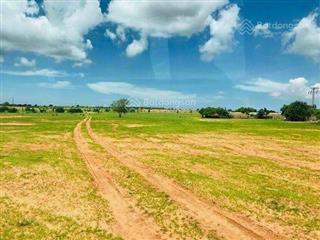 Chủ cần bán lô hồng thái 13.564m2 giá 1.24 tỷ gân kdl bàu trắng sổ sẵn mua sang tên công chứng ngay