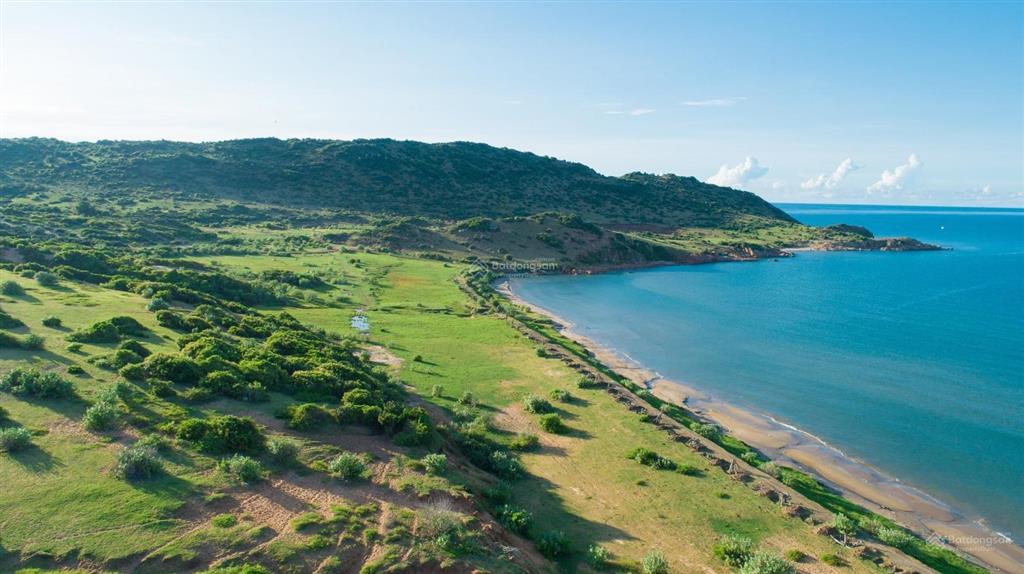 Chủ cần bán lô hồng thái 13.564m2 giá 1.24 tỷ gân kdl bàu trắng sổ sẵn mua sang tên công chứng ngay