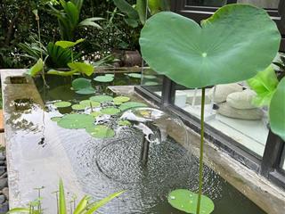 Biệt thự full nội thất  khu chuyên gia  cho thuê tốt  sổ hồng  9 tỷ