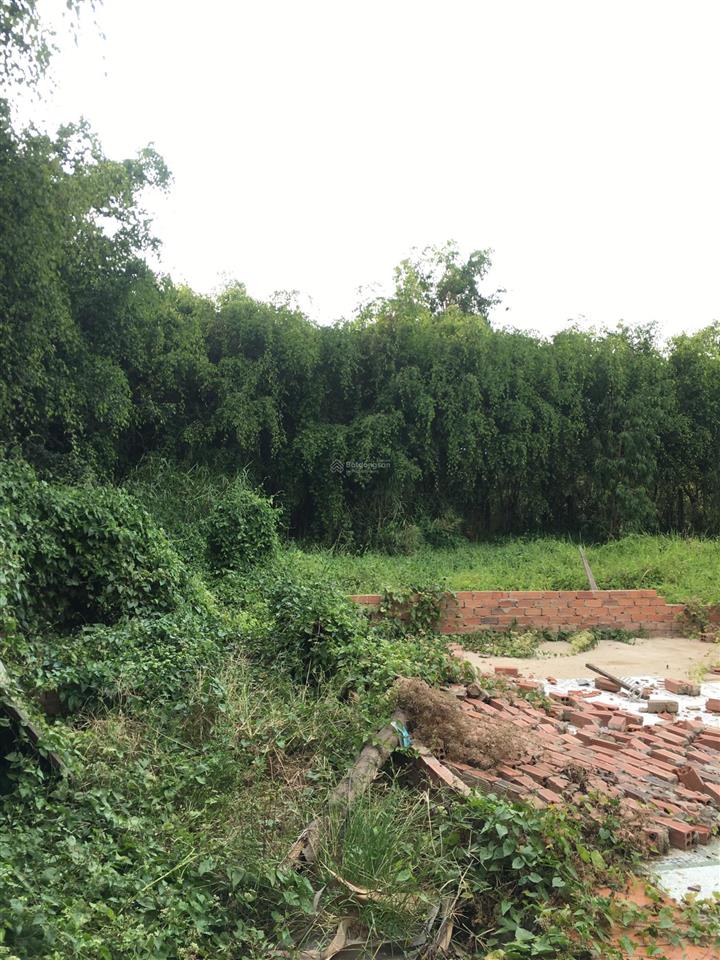 Lô góc đất ở 1477m2 đường long thuận, p. long phước, q9, giá 20.7 tỷ