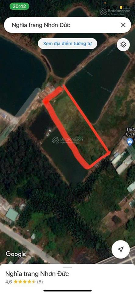 Bán gấp 3000m2 đất trồng cây lâu năm đ. lê văn lương nhơn đức, nhà bè, giá 9tr/m2,  0938 888 ***