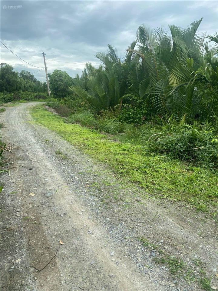 Bán đất 4200m2. mặt tiền sông lớn, đ bà xán, tam thôn hiệp, cần giờ. 2.2tr/m2.  0938 888 ***