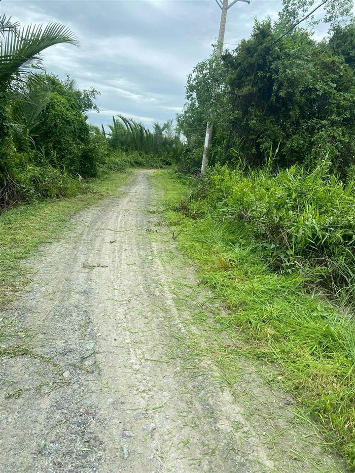 Bán đất 4200m2. mặt tiền sông lớn, đ bà xán, tam thôn hiệp, cần giờ. 2.2tr/m2.  0938 888 ***