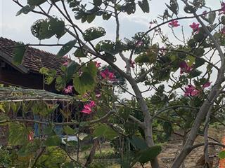 Chủ kẹt bán lô đất mặt tiền đường xe hơi xã phước trung, gò công đông, tiền giang 1,2tr/m2(433.6m2)
