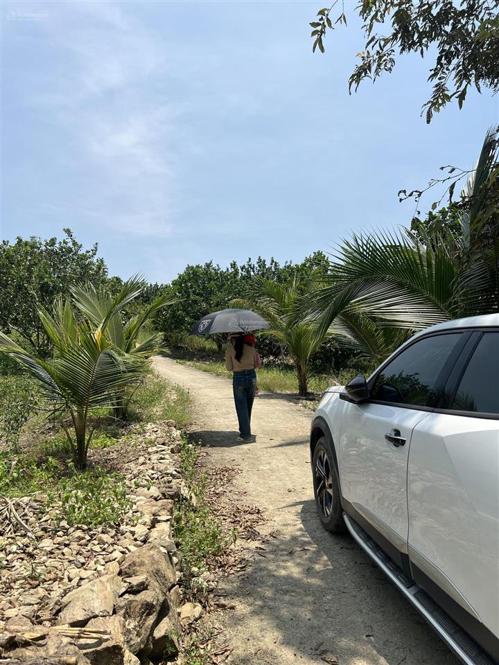 Bán gấp đất triền đồi vườn bưởi siêu đẹp  thích hợp xây biệt thự nghỉ dưỡng  chỉ 485 triệu