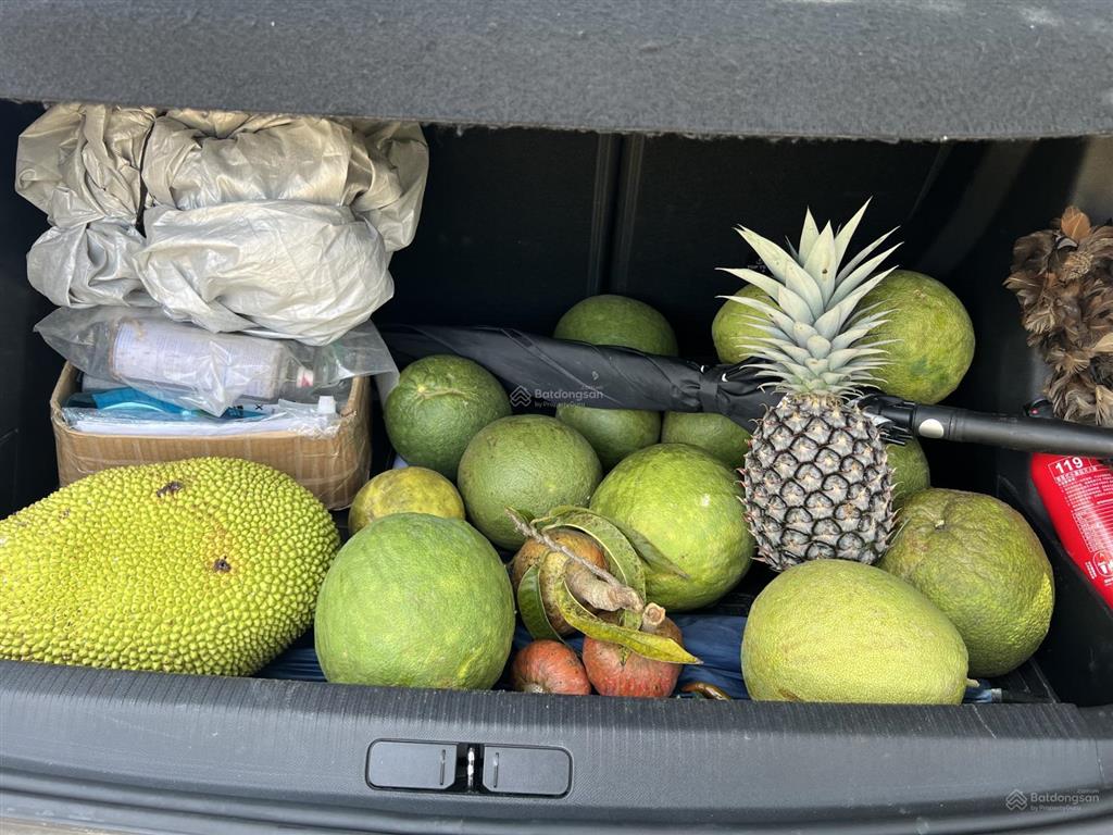 Bán gấp đất triền đồi vườn bưởi siêu đẹp  thích hợp xây biệt thự nghỉ dưỡng  chỉ 485 triệu