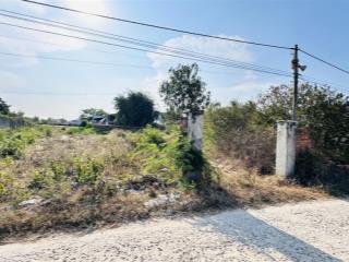 Đất full thổ, nằm cạnh kcn dốc đá trắng. 343.5 m, giá 2 tỷ xxx triệu