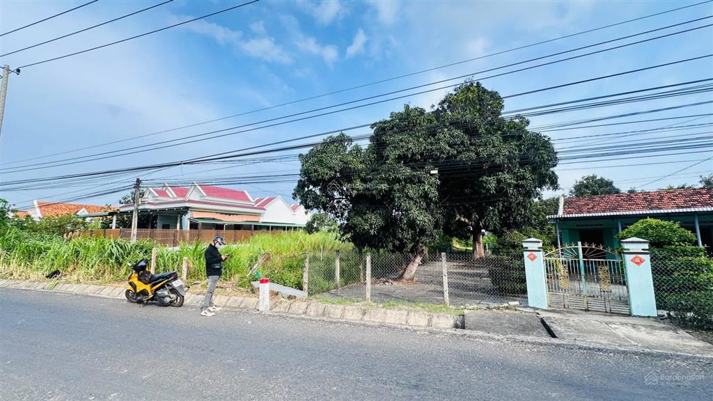 Đất thổ vân phong, gần sân bay mặt tiền trục chính, đường nhựa. giá chỉ 14 triệu/m2