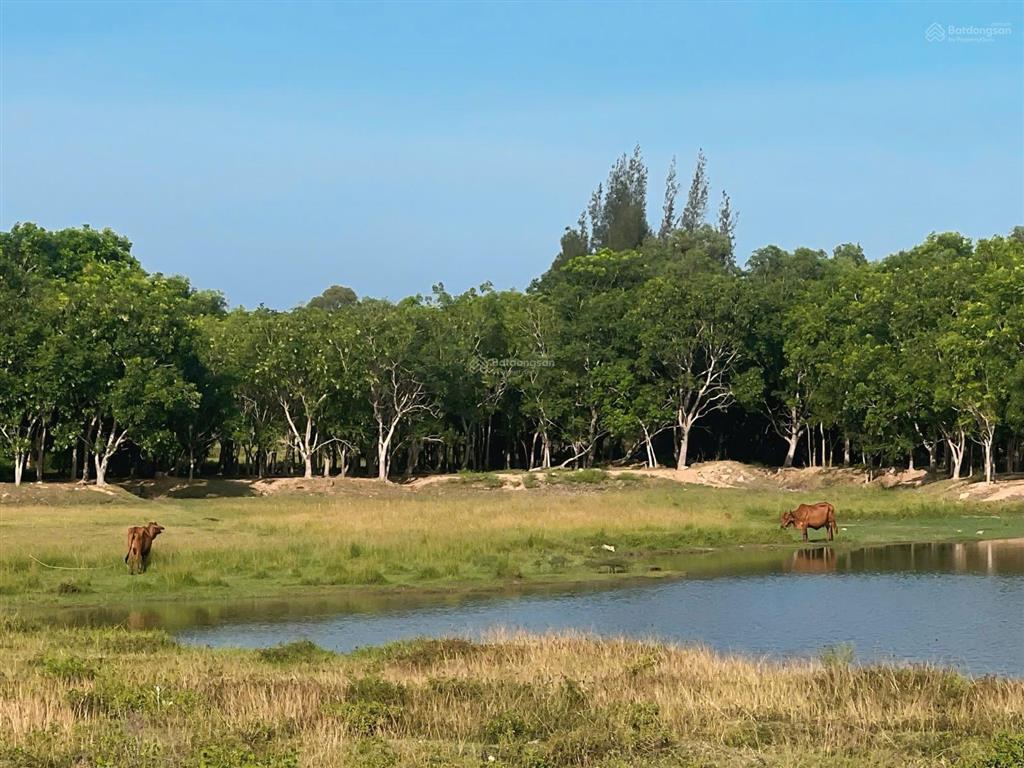 Đất siêu rộng gần sân bay 3.471 m2. mặt quốc lộ 1a, thích hợp kho bãi kinh doanh