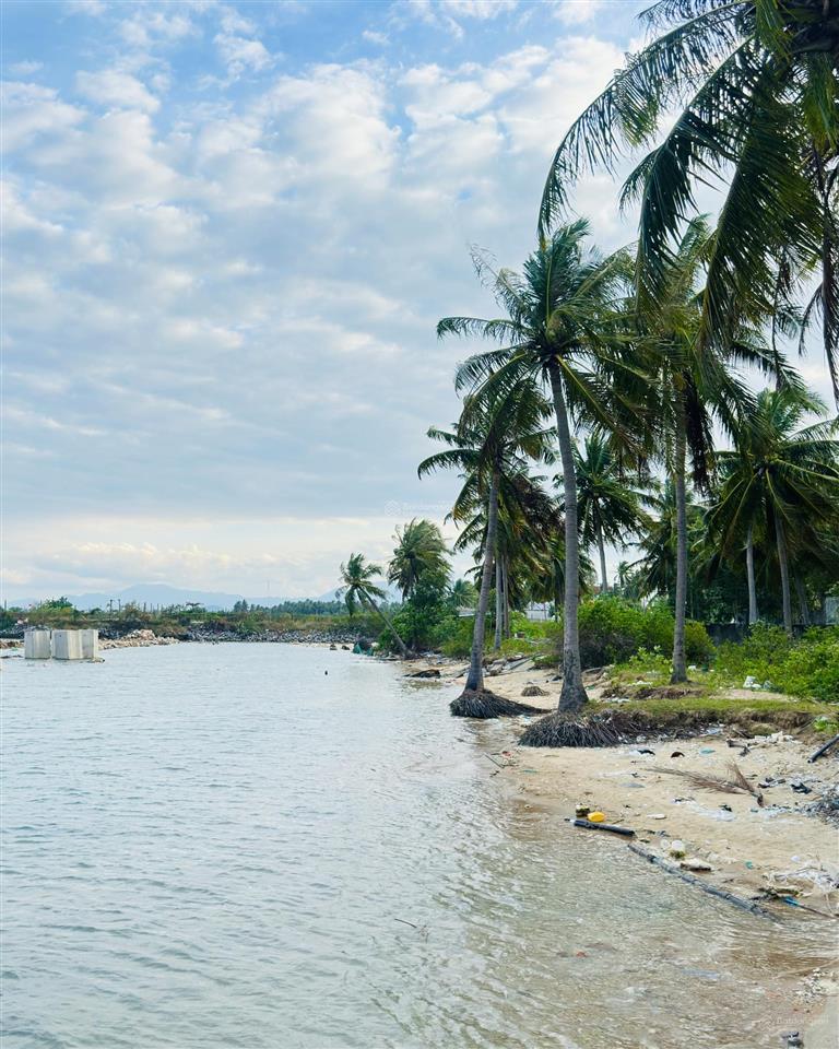 Quơ trời ơi, đất gì cách biển có chút xíu. thổ cư căng đét. giá có hơn 700 zẩy.