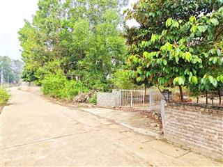 View cánh đồng dt 180m2 (60m2tc) thổ cư còn lại đất trồng cây lâu năm. mặt tiền 8.5m hướng đông nam