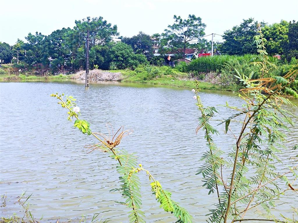 Nóng hổi siêu phẩm view hồ tại thôn 2 phú cát khối tài sản đẹp có 102 này! 139.6m mặt tiền 5.6m