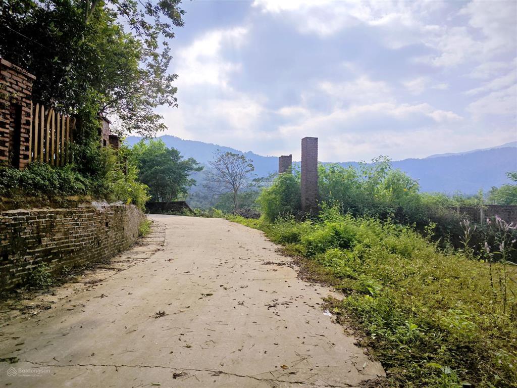 Diện tích 5.600m2 (có 800m2 thổ cư) lô góc 2 mặt tiền, mặt chính 50m, bám suối, thế đất thoải