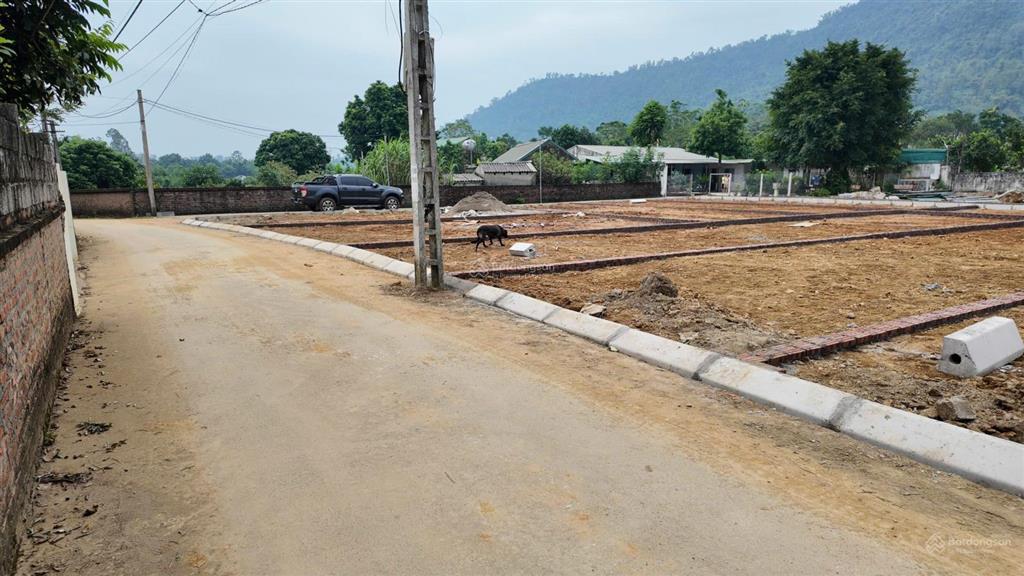 Chính chủ cần bán buôn 9 lô đất mỗi lô 100m2 full đất ở tại thôn thắng đầu,hoà thạch,quốc oai,tp hn