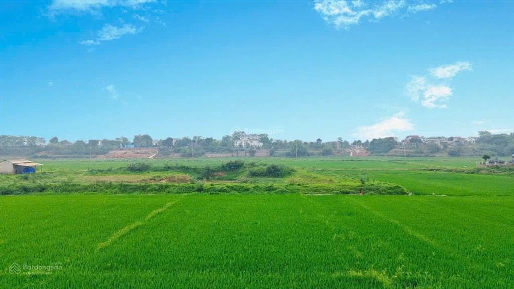 Chính chủ cần bán 598m/100m thổ cư view cánh đồng đầu tư hay nghỉ dưỡng cũng rất tốt tại phú cát,hn