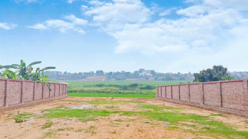 Chính chủ cần bán 598m/100m thổ cư view cánh đồng đầu tư hay nghỉ dưỡng cũng rất tốt tại phú cát,hn