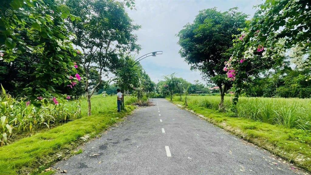 Nhỉnh 3 tỉ anh chị có ngay lô đất 150m mặt tiền 9m ngay trung tâm hoà lạc