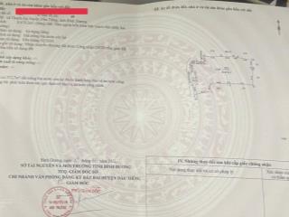 Chính chủ cần bán 8.479 mét vuông đất lúa tại thanh an, dầu tiếng, bình dương