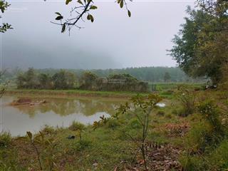 Bán 6000m2 đất nghỉ dưỡng tại di sản vân long