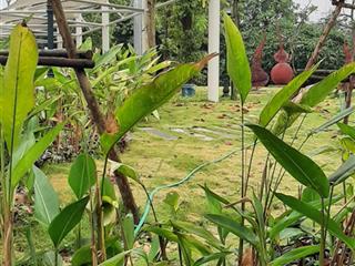 Siêu hiếm  bán đất quang tiến, đại mỗ, dt 39 m2, mặt tiền 3,6m, 2.9 tỷ , cách đường ôtô 20m