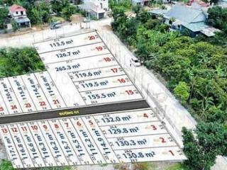 Bán 6 lô đất liền kề 1286m2 195 triệu/lô thị trấn, đường hồ chí minh khu cn 300 ha, sẵn sổ