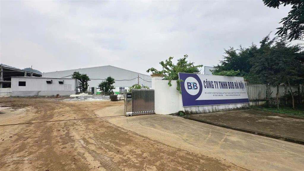 Giá hơn 1 tr/m2 đất nền 250m2 full thổ cư đường mòn hồ chí minh khu cn thạch quảng ql 217b, ql45