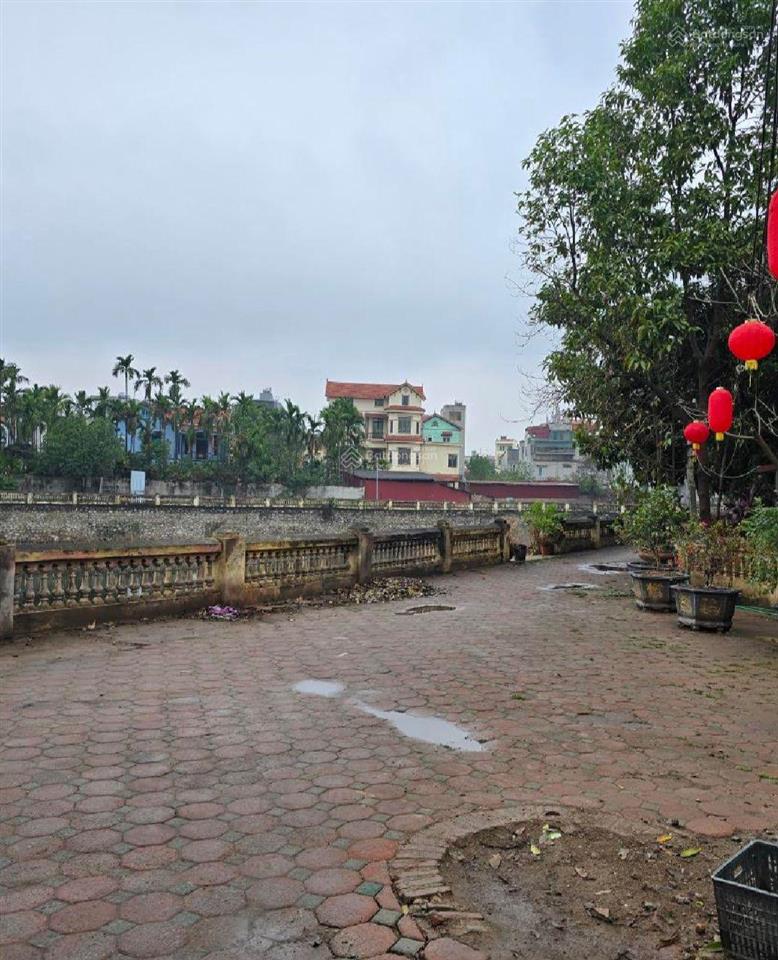 Đất vàng đại cát, vuông đẹp, ô tô lùi cổng