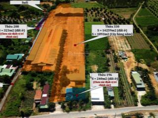 Bán kho xưởng full đất ở. giá chính chủ