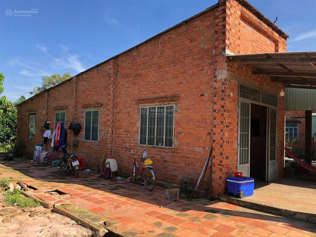 Cho thuê nhà 2 mt đường nhựa  14,3x 36,8 nở hậu 15,8 m  dt 557,5m2 (2 sổ) giá 3tr/th