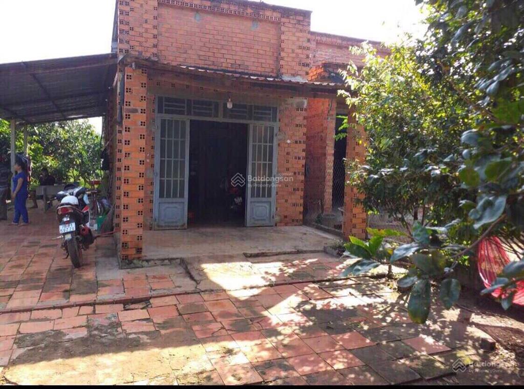 Cho thuê nhà 2 mt đường nhựa  14,3x 36,8 nở hậu 15,8 m  dt 557,5m2 (2 sổ) giá 3tr/th