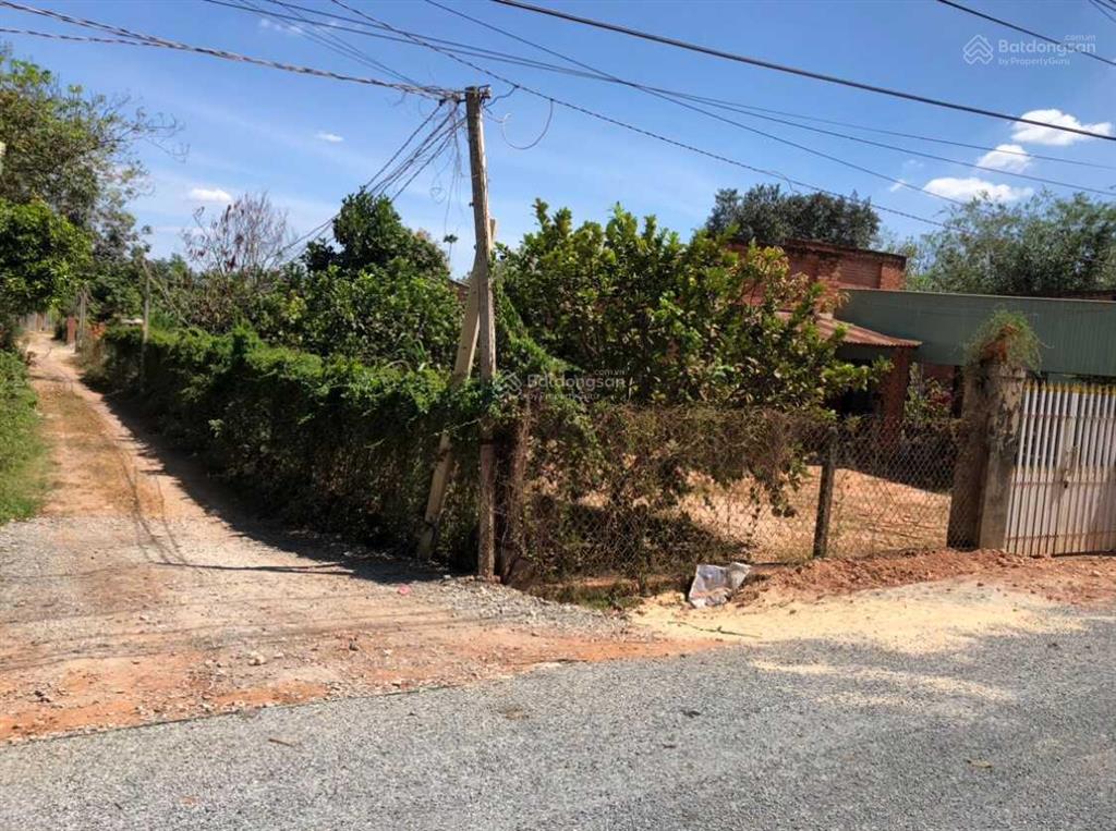 Cho thuê nhà 2 mt đường nhựa  14,3x 36,8 nở hậu 15,8 m  dt 557,5m2 (2 sổ) giá 3tr/th