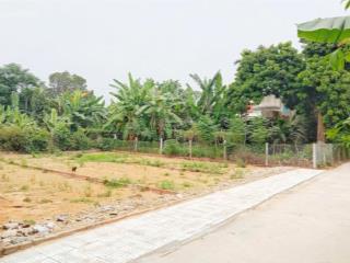 Bán gấp lô đất tâm huyết thuộc phường hoà xuân, đà nẵng  giá chỉ 1.3 tỷ