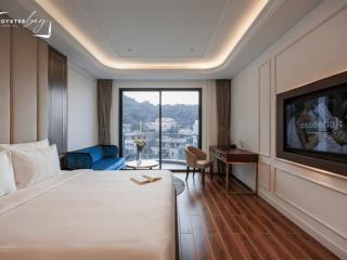 Bán căn hộ chung cư tại oyster bay, 4,6 tỷ, 73 m2, giá siêu hời