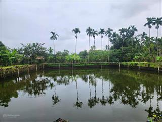 Bán trang trại nghỉ dưỡng 3.753m2 cách ql 32 chỉ 2km, ngã 4 gạch phúc thọ hn