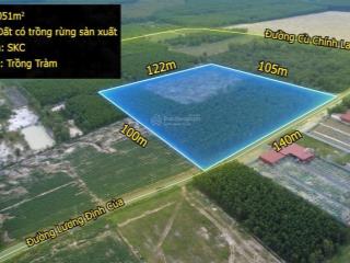 1,4ha có 140m mặt tiền đường kcn tân bình, gần cao tốc, quốc lộ, thích hợp xây dựng kho, nhà máy