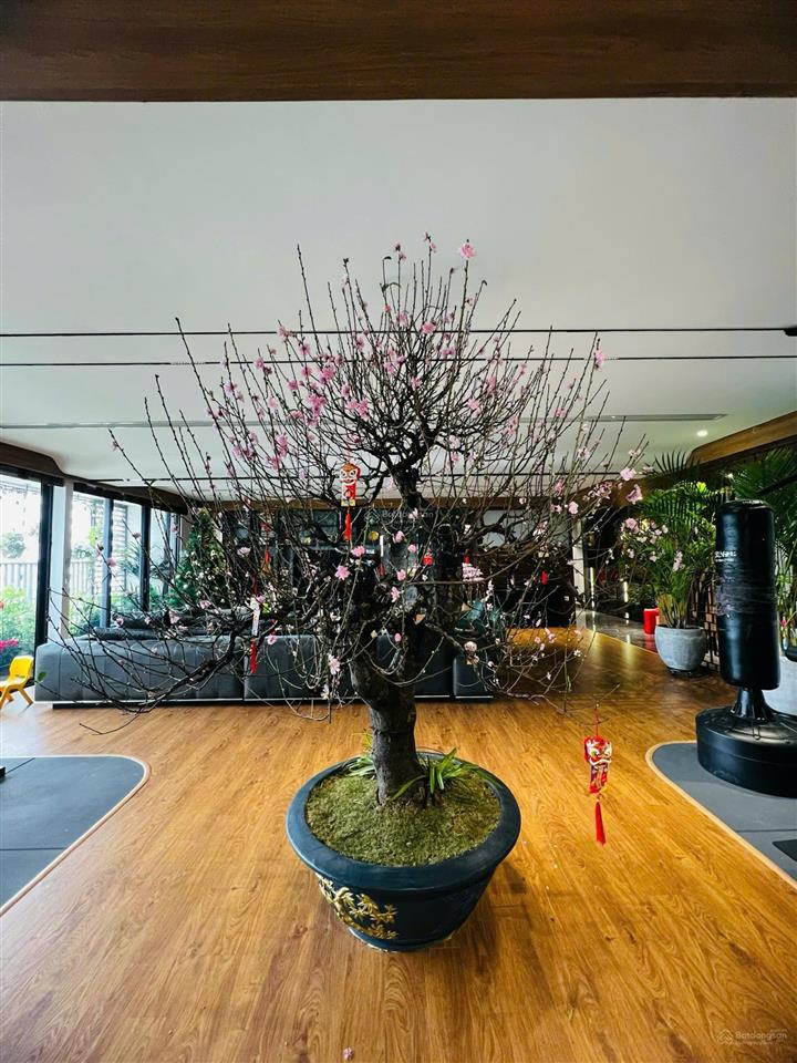 Diamond flower. căn góc 3pn, 3wc dt 165m2. full đồ. 2 slot oto. giá 15tỷ ac chủ nhà thiện chí ạ