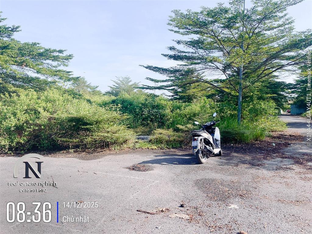 Bán nhanh nền góc 10x23 (226m²) cotec phú gia nhà bè giá 21.5tr/m²