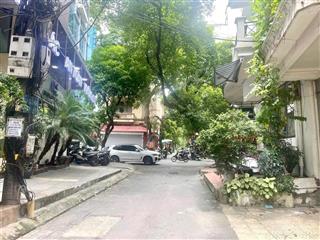 Nhà phân lô trần quang diệu 16.8 tỷ, 38m, 4 tầng kinh doanh, vỉa hè, ô tô tránh