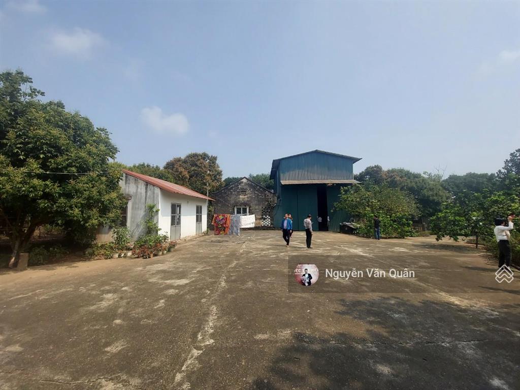 Bắt đáy! 16.8 tỷ sở hữu nhà xưởng 5800m2, có 800m2 đất ở đường lớn sẵn nhà xưởng tại lương sơn