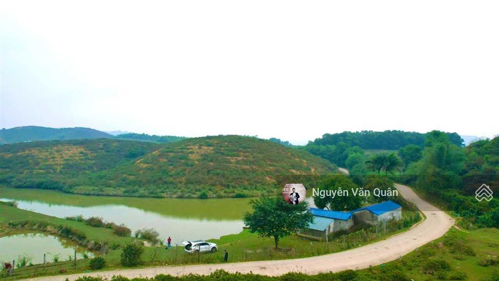 Cắt lỗ 5 tỷ! 8,4 ha đất đẹp bám đường lớn 300m, ao đẹp trong đất, 3 mặt thoáng view cánh đồng