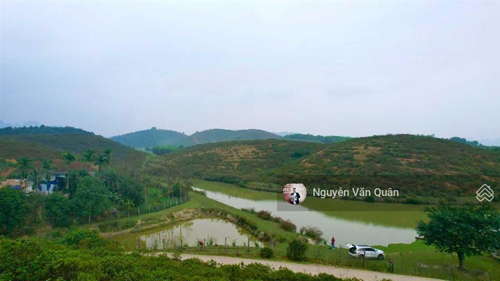 Cắt lỗ 5 tỷ! 8.4 ha đất đẹp bám đường lớn 300m, ao đẹp trong đất, 3 mặt thoáng view cánh đồng