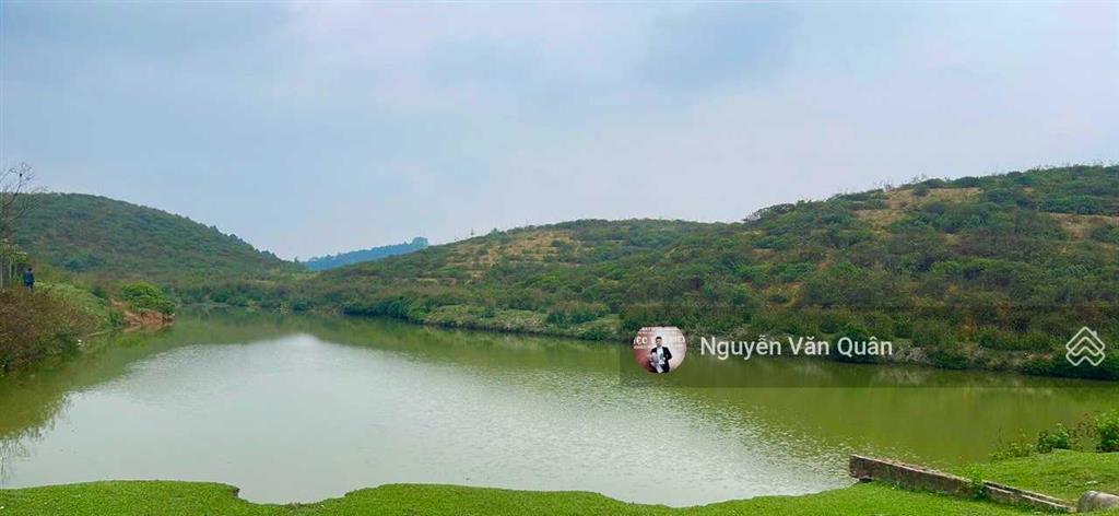 Cắt lỗ 5 tỷ! 8.4 ha đất đẹp bám đường lớn 300m, ao đẹp trong đất, 3 mặt thoáng view cánh đồng