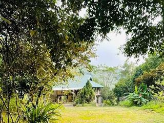 Khám phá cuộc sống hoàn hảo tại lương sơn lô đất 3,000m2 bám suối và cảm nhận homestay nghỉ dưỡng