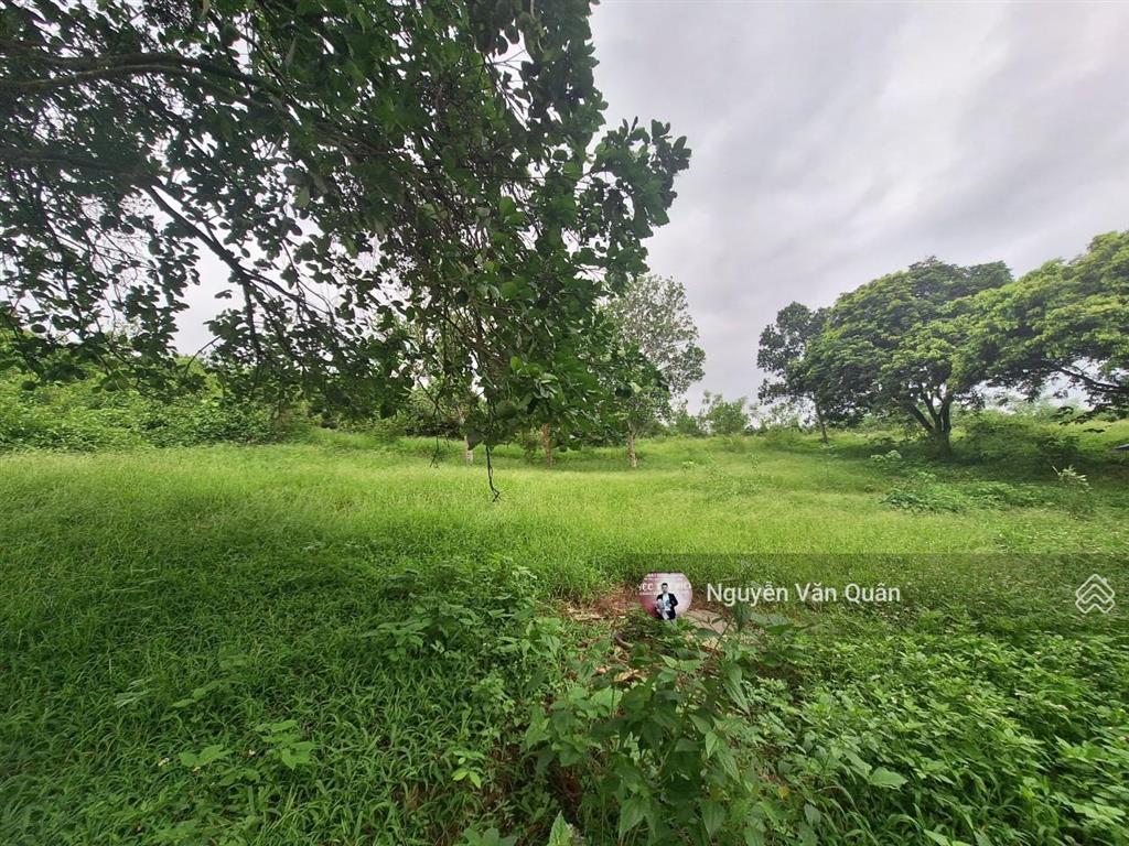 Siêu phẩm! 1.2ha (đất ở và vườn) trung tâm xã nhuận trạch! giá cực tốt! đường 8m 0988 112 ***