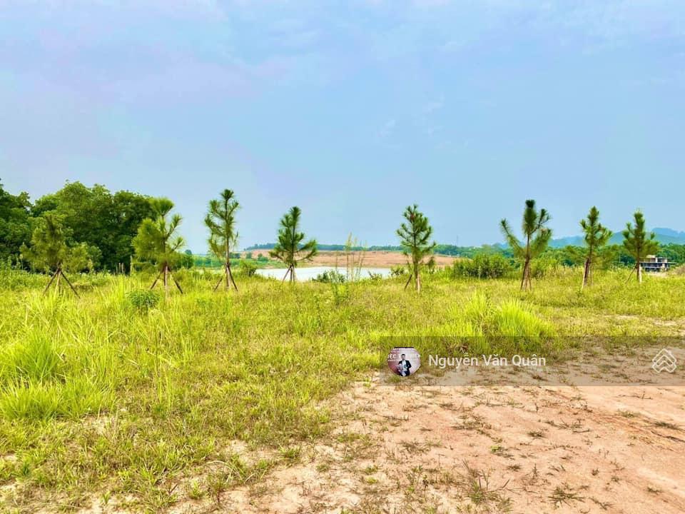 Siêu phẩm! bán đảo 6500m2 (500ont + cln) bám hồ đồng chanh, đẹp nhất, đường 2 ô tô, view triệu đô