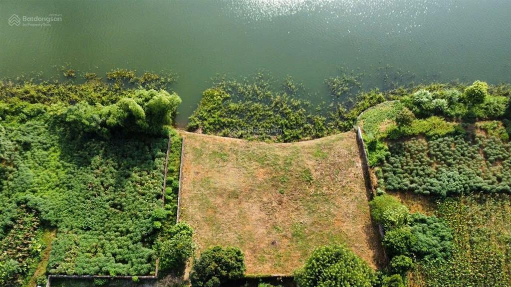 Cực hiếm! 1160m2( 200ont) bám hồ đồng chanh 45m, sổ vuông đẹp, giá cực kỳ hấp dẫn sdt 0988 112 ***