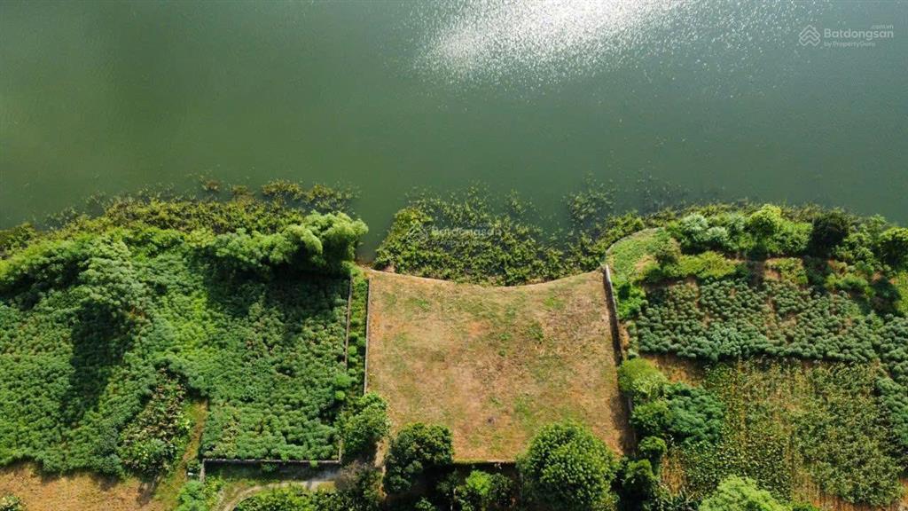 Cực hiếm! 1160m2( 200ont) bám hồ đồng chanh 45m, sổ vuông đẹp, giá cực kỳ hấp dẫn sdt 0988 112 ***