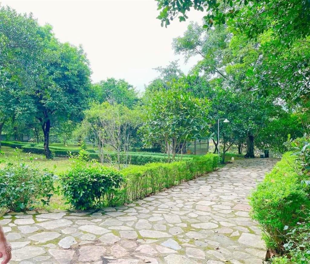 Chủ định cư nước ngoài 13.000m2 biệt phủ sang trọng, gần sân golf sky lake lương sơn, giá hợp lý