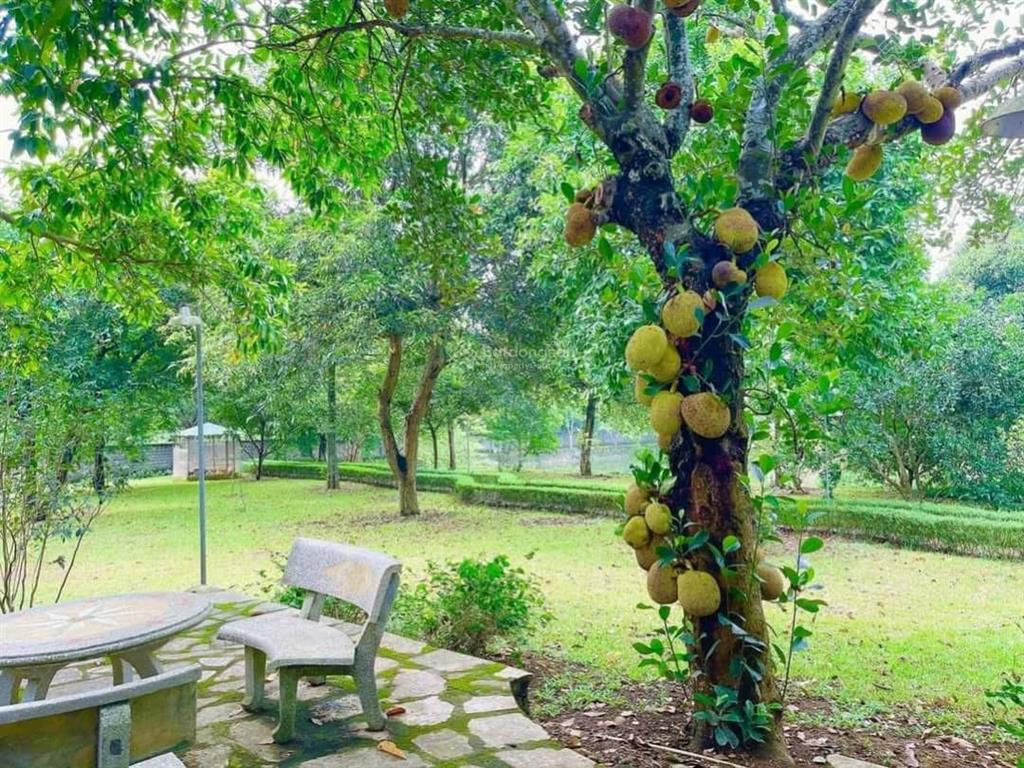 Chủ định cư nước ngoài 13.000m2 biệt phủ sang trọng, gần sân golf sky lake lương sơn, giá hợp lý