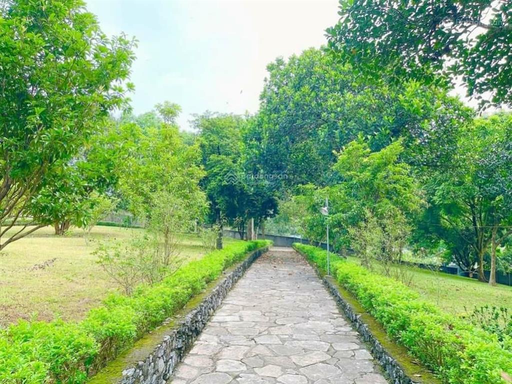 Chủ định cư nước ngoài 13.000m2 biệt phủ sang trọng, gần sân golf sky lake lương sơn, giá hợp lý